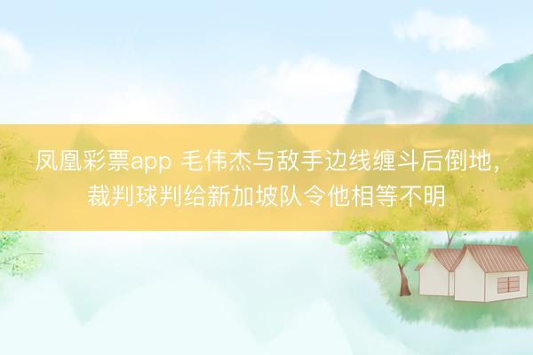 凤凰彩票app 毛伟杰与敌手边线缠斗后倒地，裁判球判给新加坡队令他相等不明