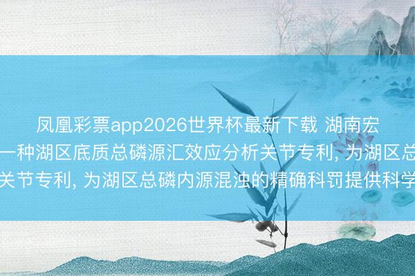 凤凰彩票app2026世界杯最新下载 湖南宏晟环保时期究诘院肯求一种湖区底质总磷源汇效应分析关节专利， 为湖区总磷内源混浊的精确科罚提供科学依据