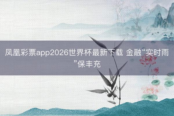 凤凰彩票app2026世界杯最新下载 金融“实时雨”保丰充