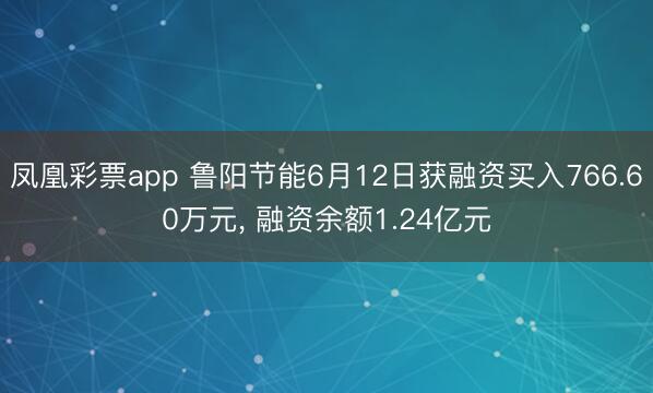 凤凰彩票app 鲁阳节能6月12日获融资买入766.60万元， 融资余额1.24亿元